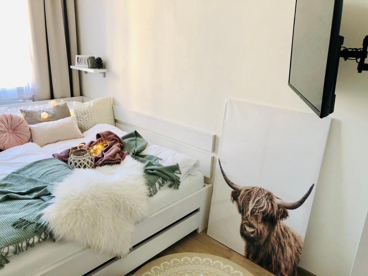 Rezidence Weisovka Apartment เชสเกบูดิเยโจวิตเซ ภายนอก รูปภาพ