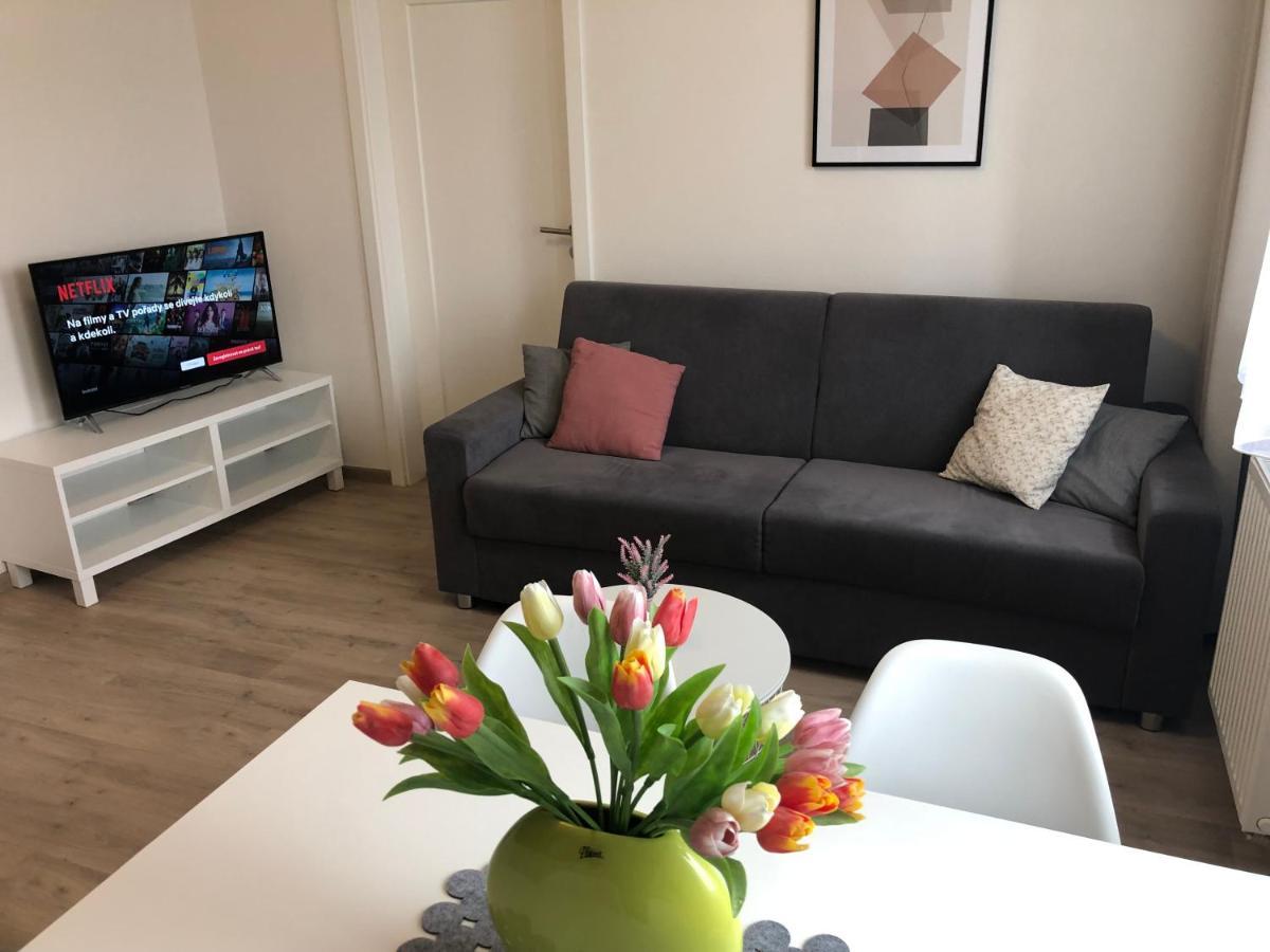 Rezidence Weisovka Apartment เชสเกบูดิเยโจวิตเซ ภายนอก รูปภาพ